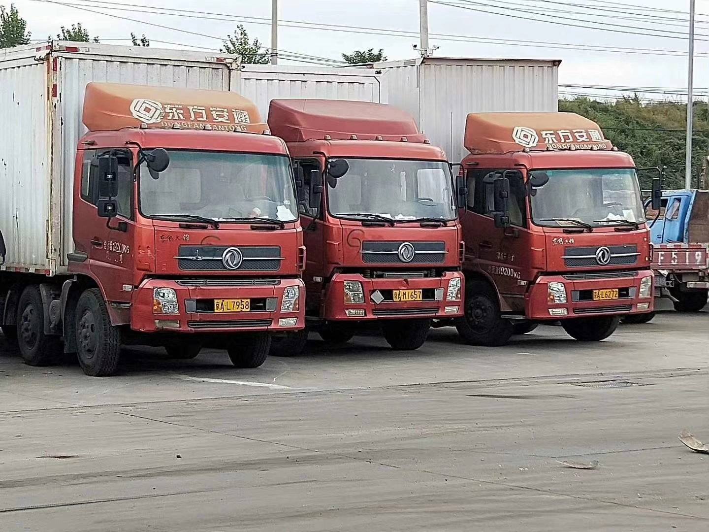 mmexport1538699356910.jpg